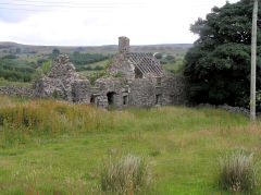 
Ty Rheinallt Farm, Coity, July 2010